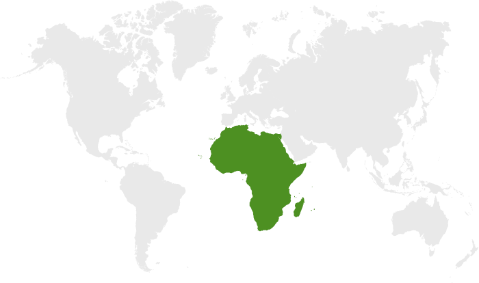 Africa