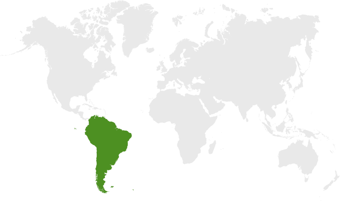 South America